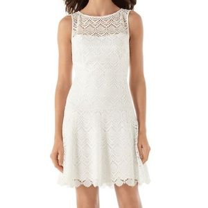 LACE OVERLAY DRESS (NWT)
STYLE: 570074977